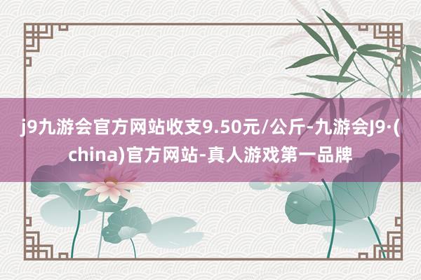 j9九游会官方网站收支9.50元/公斤-九游会J9·(china)官方网站-真人游戏第一品牌