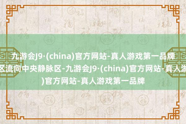 九游会J9·(china)官方网站-真人游戏第一品牌血液从门脉区流向中央静脉区-九游会J9·(china)官方网站-真人游戏第一品牌