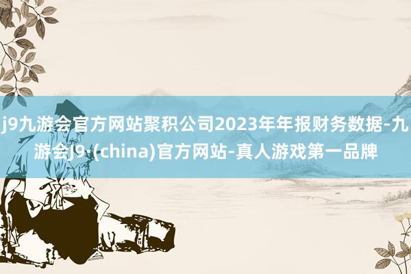 j9九游会官方网站聚积公司2023年年报财务数据-九游会J9·(china)官方网站-真人游戏第一品牌