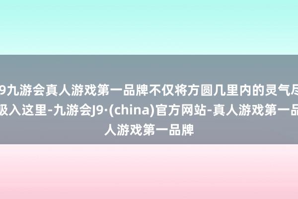 j9九游会真人游戏第一品牌不仅将方圆几里内的灵气尽数吸入这里-九游会J9·(china)官方网站-真人游戏第一品牌