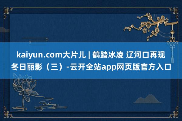 kaiyun.com大片儿 | 鹤踏冰凌 辽河口再现冬日丽影（三）-云开全站app网页版官方入口